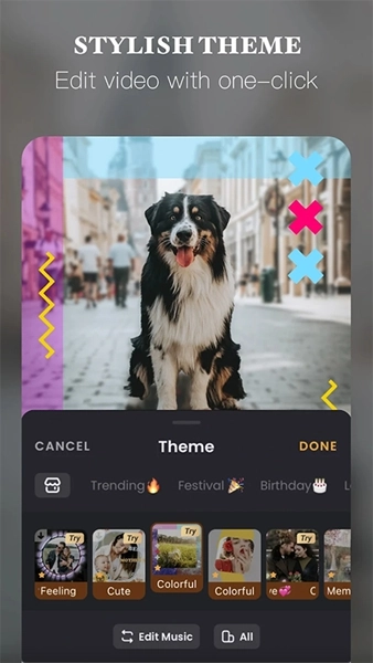 vivavideo会员解锁版图5