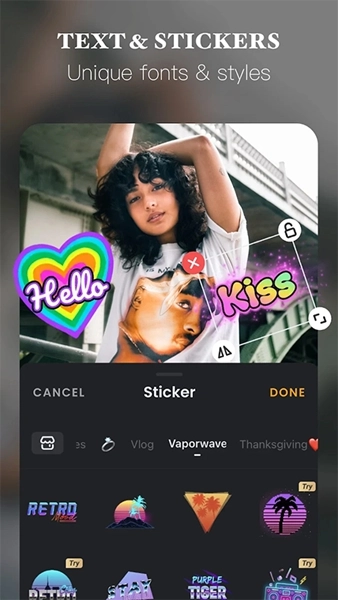 vivavideo会员解锁版图3