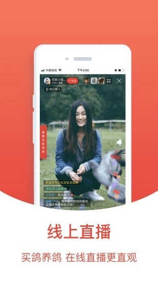 搜鸽天下中文版