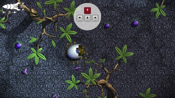 贪吃瑞拉菜单(2)