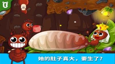 宝宝认蚂蚁(3)