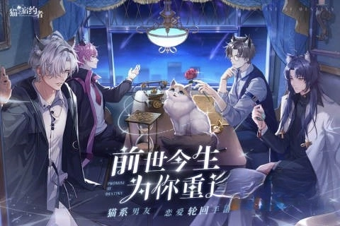猫之宿约者最新版2