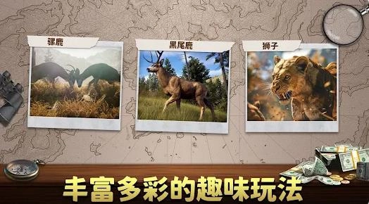 动物猎人荒野狙击手(3)
