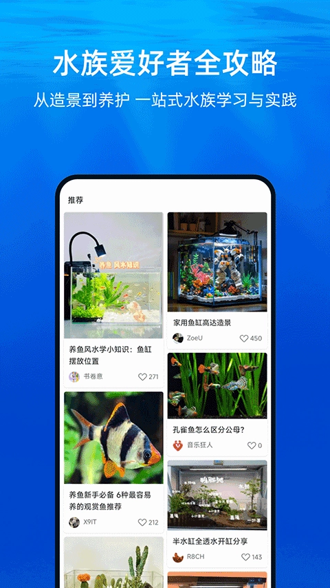 当贝鱼缸最新版