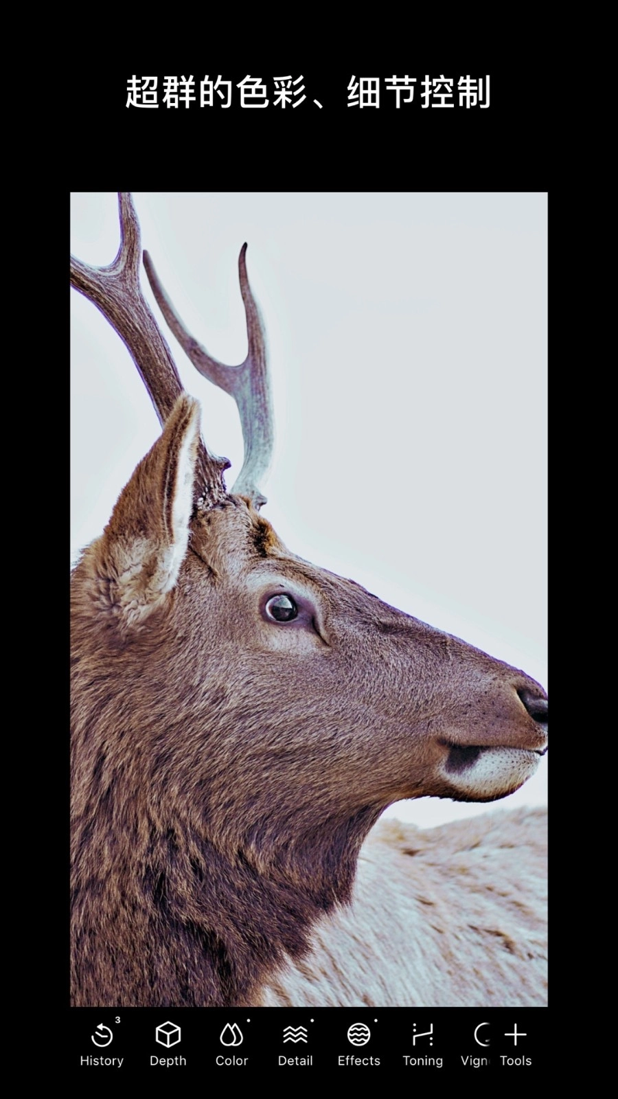 泼辣修图绿色版