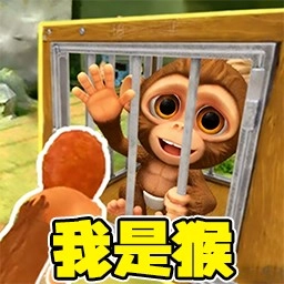 动物大逃亡行动