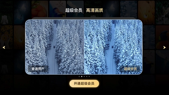 百度网盘tv版图5