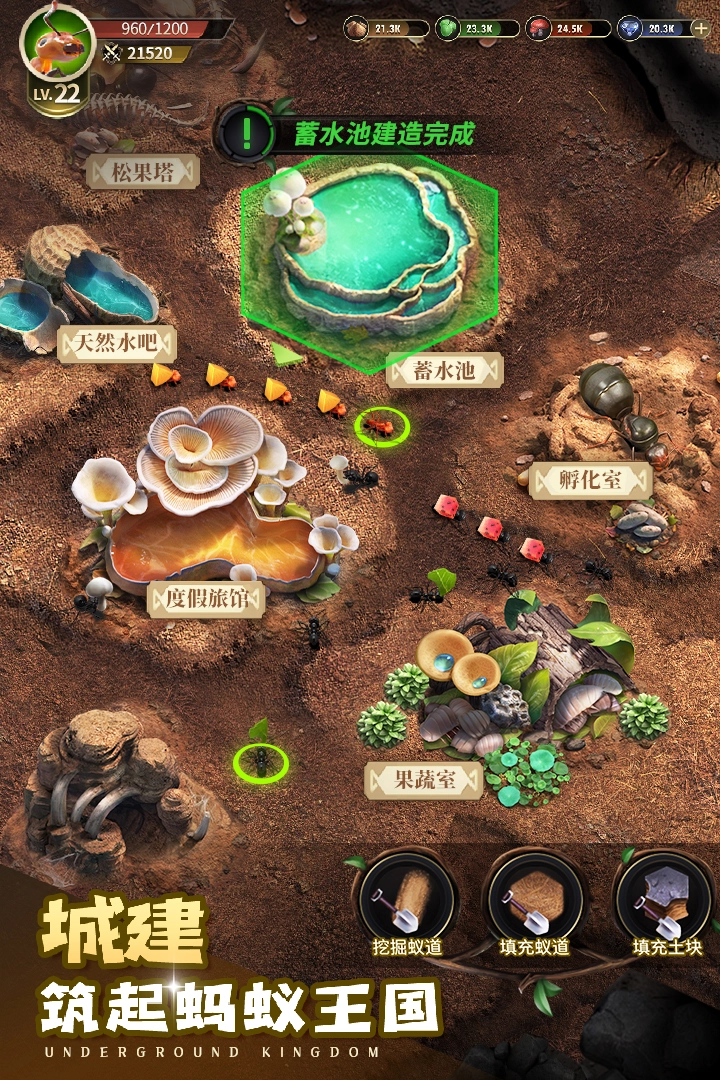 小小蟻國小米客戶端  安卓版-截圖5