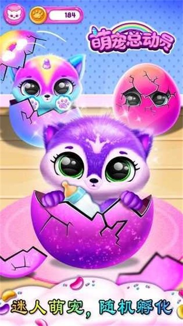 桌面萌宠总动员图1