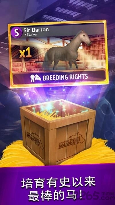 2018年度赛马经理手机版图4