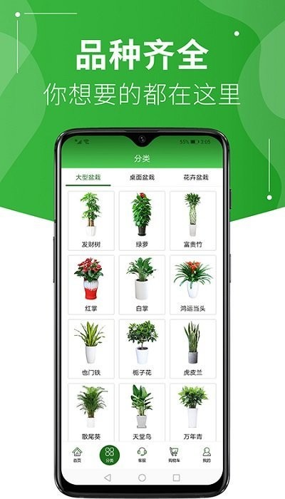 绿植到家
