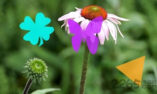 mx视频播放器软件