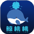鲸桃桃V0.0.11