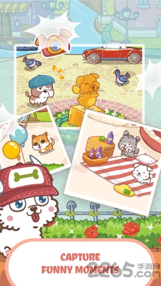 最时髦的狗狗游戏