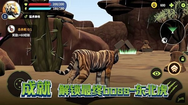 老虎生存大作战