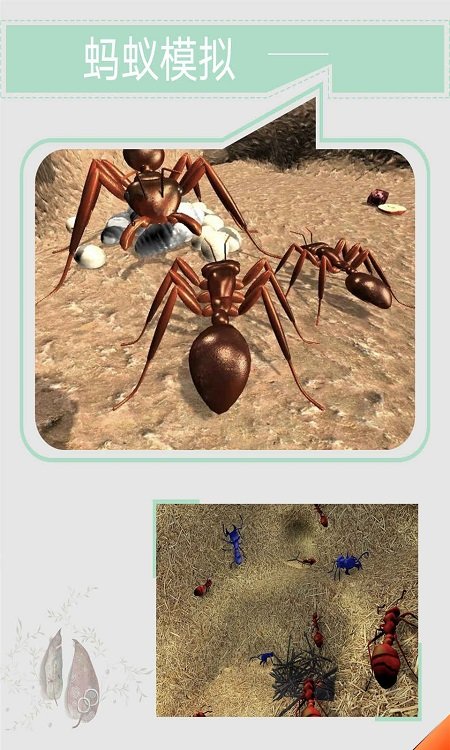 蚂蚁模拟手机版图2