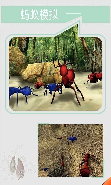 蚂蚁模拟手机版图3
