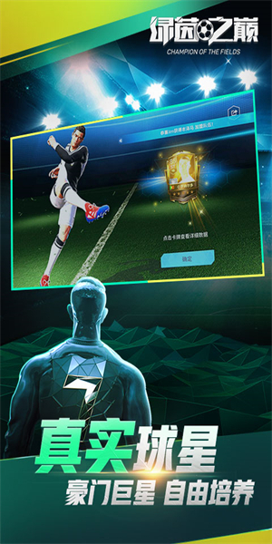 绿茵之巅最新版(4)