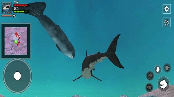 深海大鱼吃小鱼游戏图4