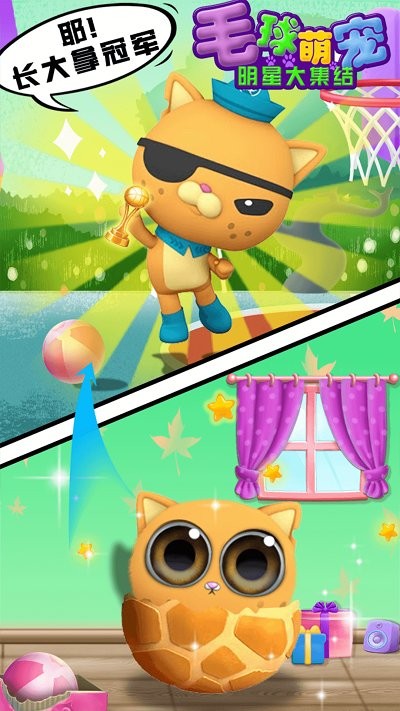 毛球萌宠明星大集结游戏