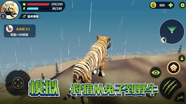 老虎生存大作战