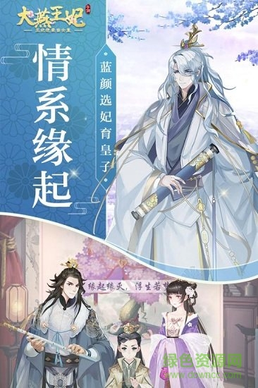 大燕王妃游戏图2