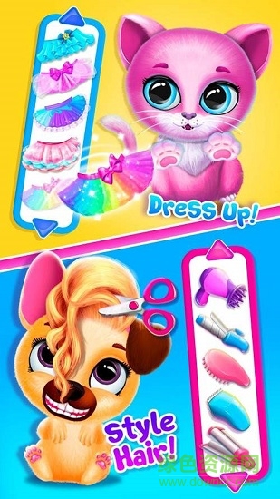 宠物泡泡派对(1)