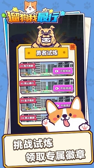 遛狗我最行最新版