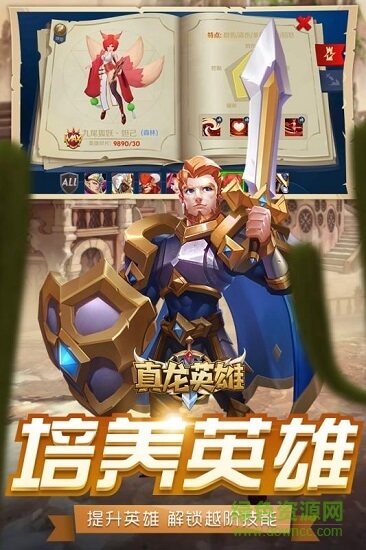 真龙英雄游戏