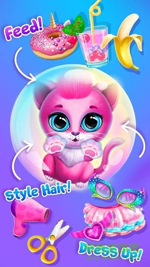 宠物泡泡派对(4)