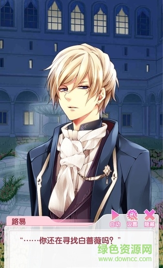 宫殿月下灰姑娘