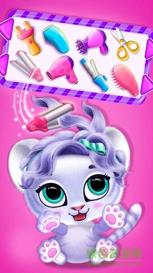 宠物泡泡派对(3)