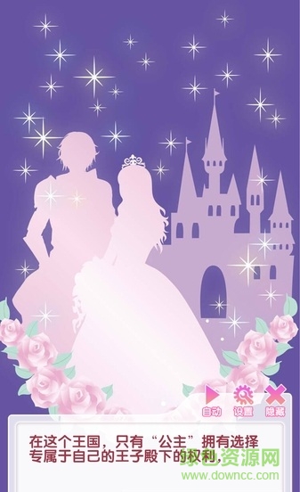 宫殿月下灰姑娘