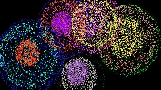 烟火的季节手机版图2