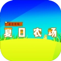夏日农场