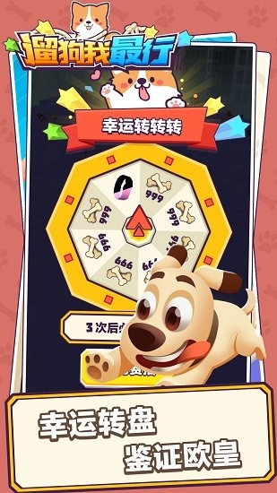 遛狗我最行最新版