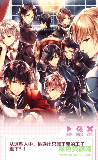 宫殿月下灰姑娘