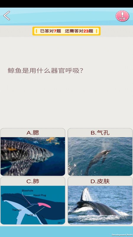 AR幻石学院软件图2