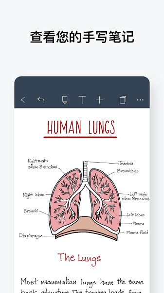 noteshelf免费版(4)