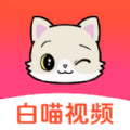 白喵视频红包版