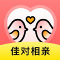 佳对相亲软件