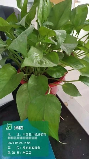 经纬位置打卡相机免费版图2