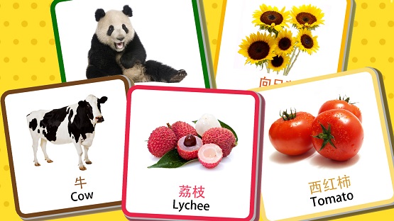 宝宝早教识字卡截图2