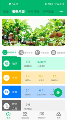 云上果园最新版图3