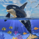 鲸鱼生存大作战