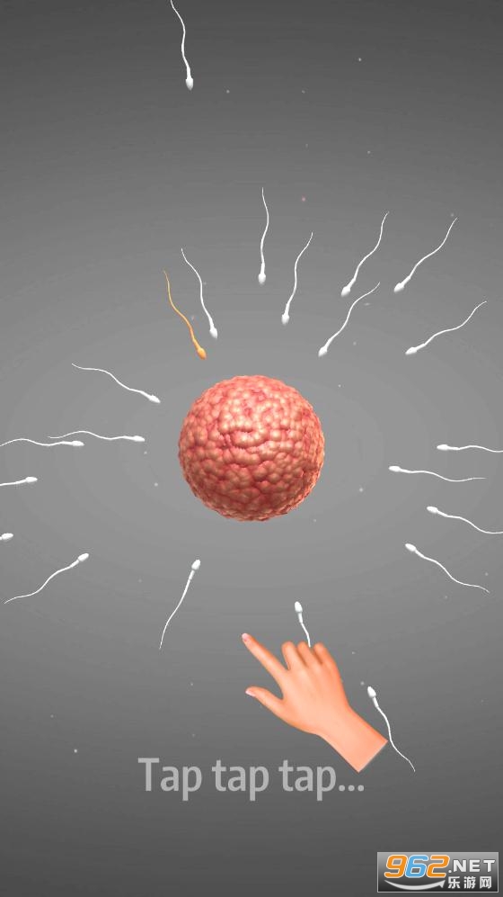 怀孕宝宝模拟器