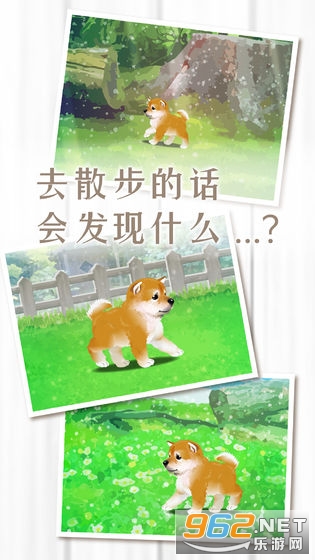 养育柴犬的治愈游戏中文版图1