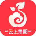云上果园最新版