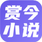 赏今小说