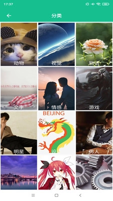 图片大师免费版图5